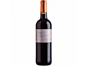 Aux 4 Vents - Clos Bagatelle - 2022 - Rouge