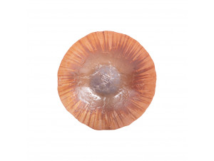 Coupe Aura 32 Cm - table passion -  - 