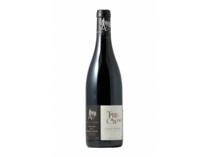 Les terres chaudes - Thierry Germain - Domaine des Roches Neuves - 2021 - Rouge
