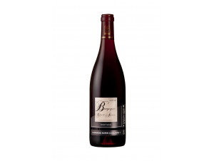 Bourgogne Côtes d'Auxerre - Domaine Sorin Coquard - 2023 - Rouge