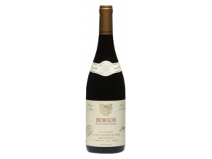 Morgon - Maison L. Tramier et Fils - 2020 - Rouge