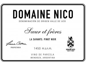 La Savante - DOMAINE NICO - 2022 - Rouge