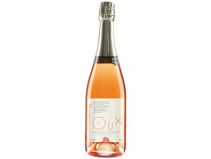 Château du Petit Thouars Les Foux Rosé - Château Du Petit Thouars - 2021 - Effervescent