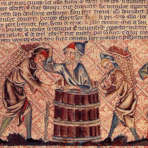 couverture l'histoire de la vigne