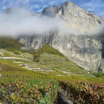 couverture les plus beaux vignobles du monde