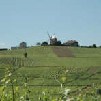 couverture le terroir